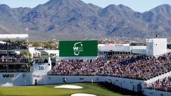 Women In Green Dresses Cause Crowd On 16 At Waste Management To Go Wild With A Kiss & Drink Chug - Fox News