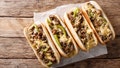 Since When Is Putting A Bunch Of Regular-Sized Cheesesteaks In A Line World Record-Worthy?! - Fox News