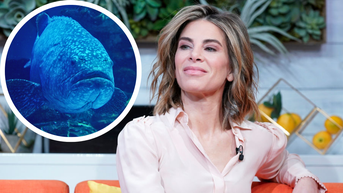 Jillian Michaels Battles 400-Pound Goliath Grouper In Wild Fishing Video - Fox News