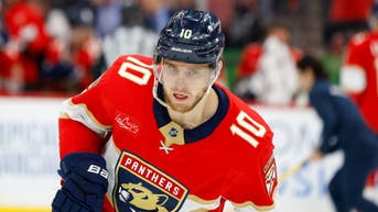Watching This Hit From A Florida Panthers Player Will Give You A Headache - Fox News
