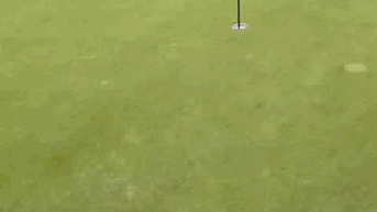 Yankees Star Jazz Chisholm Pulls Off Golf Feat Only Seen Once In PGA Tour History - Fox News