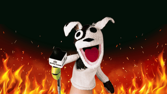 Five Of The Dumbest Websites From The Dot Com Bubble - Fox News