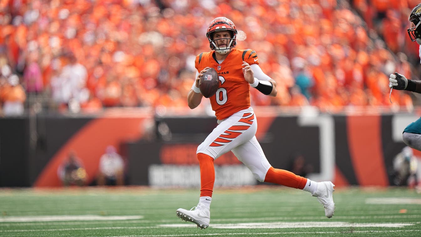 Joe Burrow Injury: Evaluating Best Replacements and Where Bengals Go From Here