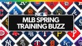 MLB Spring Training Buzz: Astros Closer Josh Hader has 'Bicep Inflammation' - Fox News